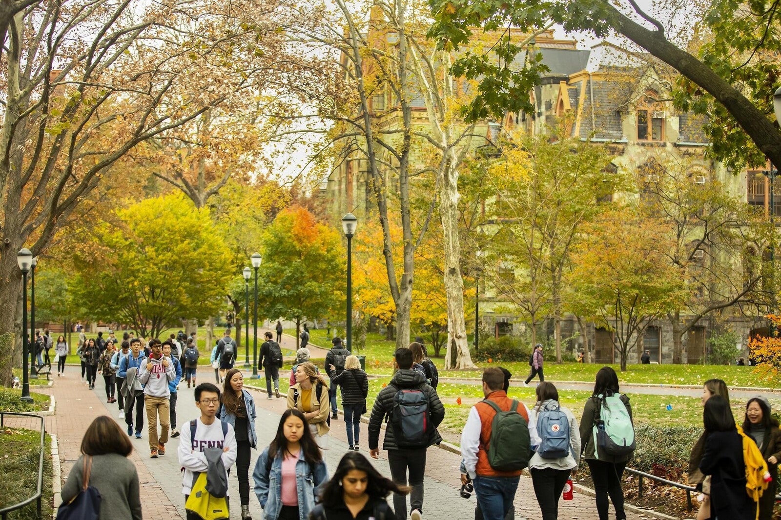 locust walk in autumn